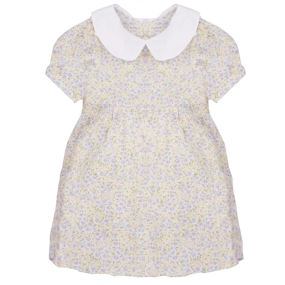 Toddler Girls Floral Peter Pan Collar Summer Dress
